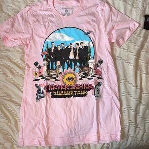 One republic never ending summer tour